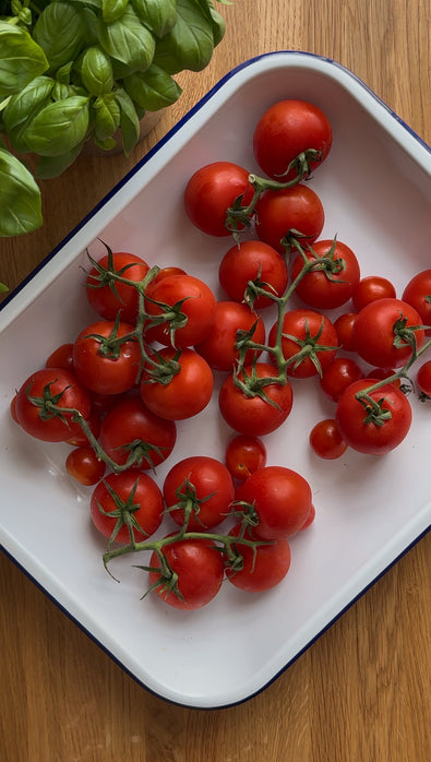 Protein-packed Tomato & Basil Soup