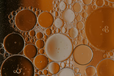 Vegan Bone Broth: Is There One?