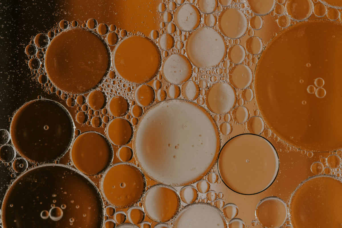 Vegan Bone Broth: Is There One?