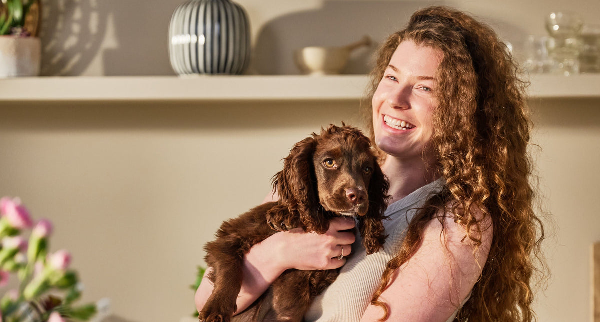 Bone Broth for Dogs