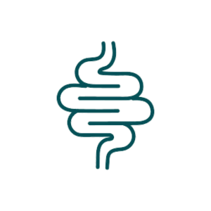 Better digestion and a healthier gut